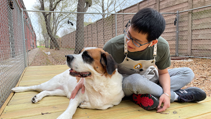 Dog day care in Missouri City Texas Fantasy Pet Grooming Boarding Daycare 1