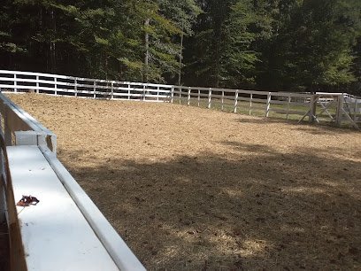 Dog day care in Mocksville North Carolina Jessies Paw Country 1