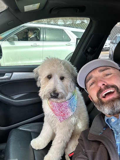 Dog day care in Moline Illinois American Dog 1