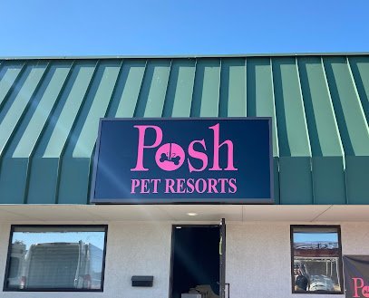 Dog day care in Moline Illinois Posh Pet Resorts 1