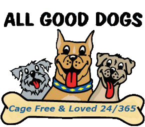 Dog day care in Monmouth Junction New Jersey All Good Dogs Daycare 1