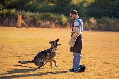 Dog day care in Monroe Georgia Ashley Hills Pet Center