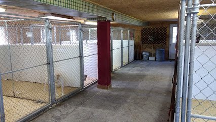 Dog day care in Monroeville Ohio North Coast K 9 Training Boarding 1