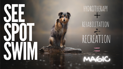 Dog day care in Montgomery Illinois See Spot Swim 1