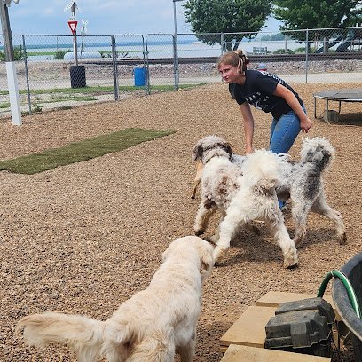 Dog day care in Montrose Iowa Montrose Dog Boarding 1