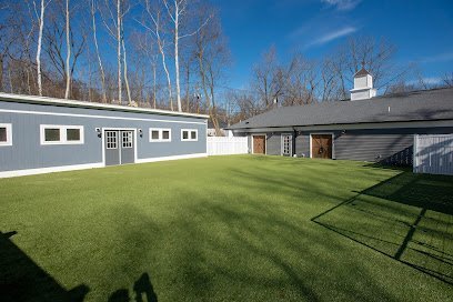 Dog day care in Montville New Jersey Mutts on Main Daycare Boarding Training 1