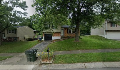 Dog day care in Moraine Ohio Heed s Dog Walking Pet Sitting Services 1