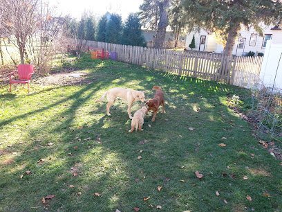 Dog day care in Morris Minnesota The Doggie Den 1