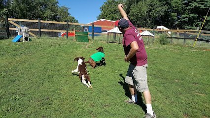 Dog day care in Mt Airy Maryland Mariah Belle Manor Kennel 1