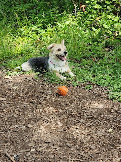 Dog day care in Mulino Oregon Critter Nanny Ltd 1