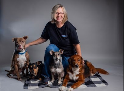 Dog day care in Mundelein Illinois Bark University Inc 1