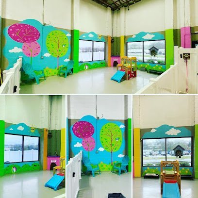 Dog day care in Murfreesboro Tennessee Kodas Playhouse 1