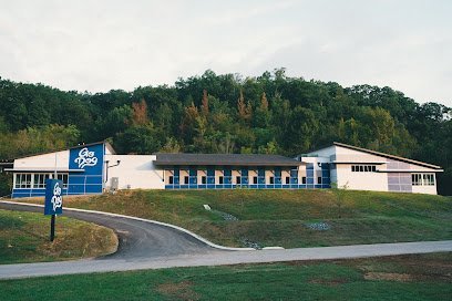 Dog day care in Nashville Tennessee GoDog West Nashville 1