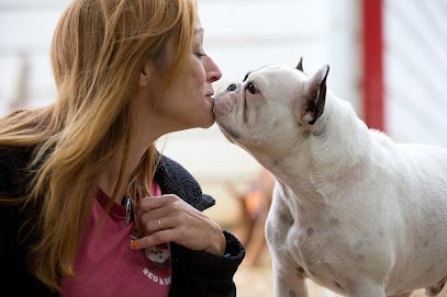 Dog day care in Nashville Tennessee Miss Kitty s Dog Resort 1