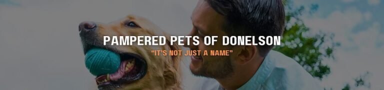 Dog day care in Nashville Tennessee Pampered Pets of Donelson 1 768x180