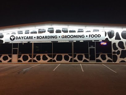 Dog day care in Nashville Tennessee The Dog Spot 1