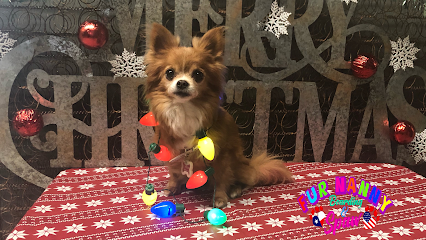 Dog day care in New Braunfels Texas Fur Nanny Boarding Spaw 1