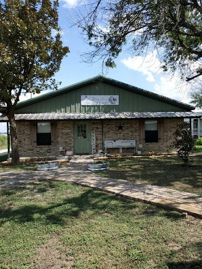 Dog day care in New Braunfels Texas Sweet Magnolia s Pet Resort Spa 1