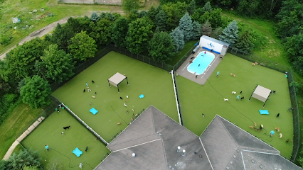 Dog day care in New Germany Minnesota Top Dog Country Club 1