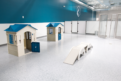 Dog day care in New Lenox Illinois Off Leash Hotel 1