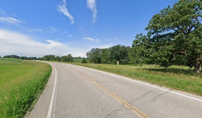 Dog day care in New London Minnesota North Country Kennels 1