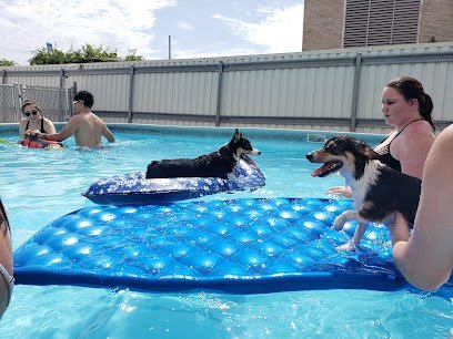 Dog day care in New Orleans Louisiana Canine Connection 1