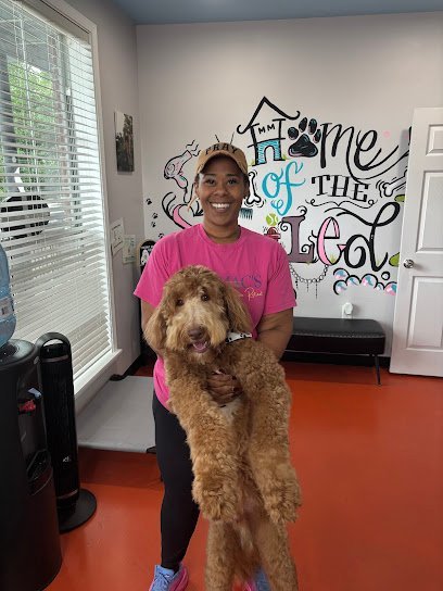 Dog day care in New Orleans Louisiana MaryMac s Doggie Retreat 1