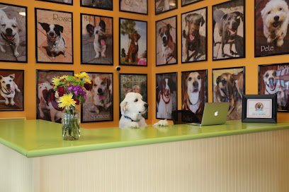 Dog day care in New Orleans Louisiana Zeus  Place 1