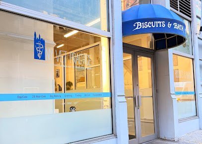 Dog day care in New York New York Biscuits Bath Greenwich Village 1