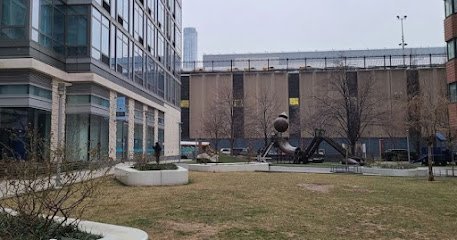 Dog day care in New York New York Biscuits Bath Hell s Kitchen 1