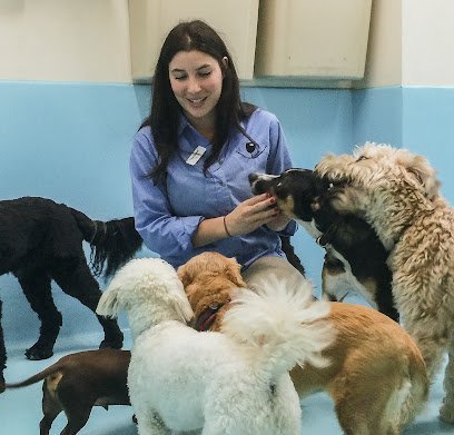 Dog day care in New York New York Biscuits Bath Park Ave 1