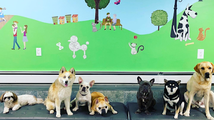 Dog day care in New York New York City Tails NYC 1