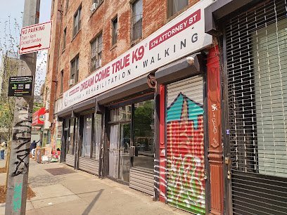 Dog day care in New York New York Dream Come True K9 1