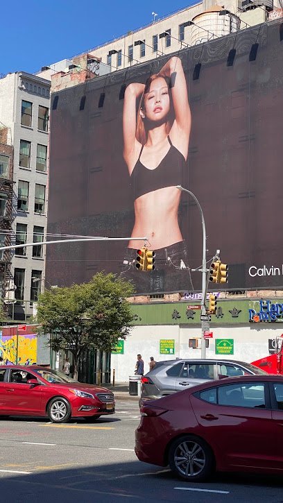 Dog day care in New York New York Happy Paws Pet Resort 1