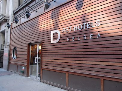 Dog day care in New York New York My Pets Wellness — Chelsea 1