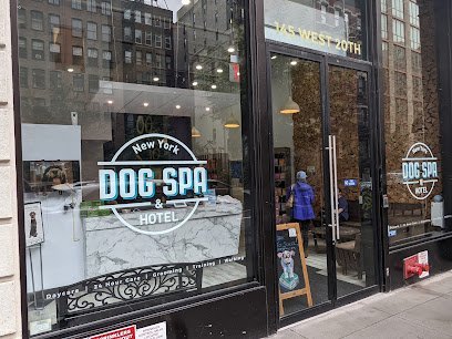 Dog day care in New York New York New York Dog Spa Hotel 20th Street 1