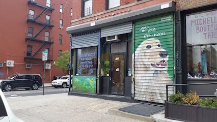 Dog day care in New York New York Urban Vets Animal Hospital 1