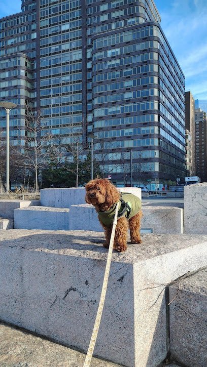 Dog day care in New York New York pupculture West 57th 1