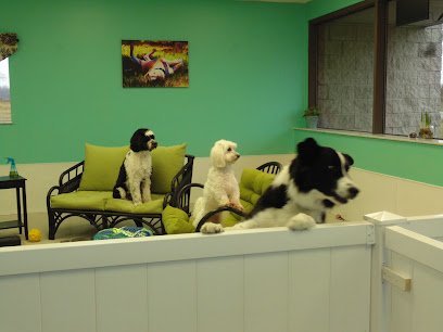 Dog day care in Newark Ohio The K9 Spot 1
