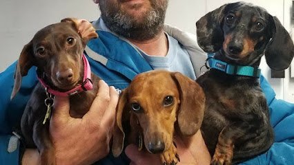 Dog day care in Newburg Maryland Mt Victoria Kennels 1