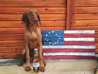 Dog day care in Newburgh Maine Your Dog s Inn 1