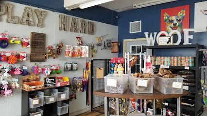 Dog day care in Newport Minnesota Dogs at Play 1