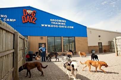 Dog day care in Noblesville Indiana DogDayz 1
