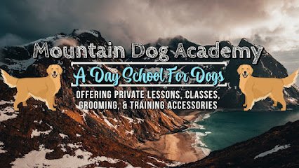 Dog day care in North Adams Massachusetts Mountain Dog Academy 1