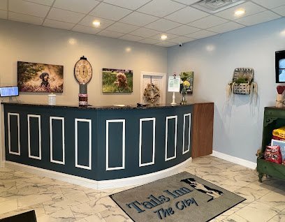 Dog day care in North Canton Ohio Tails Inn The City 1