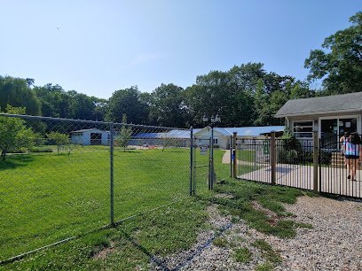 Dog day care in North East Maryland Shady Beach Kennel Grooming Salon 1