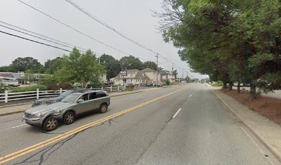 Dog day care in North Reading Massachusetts Boston Barks 1