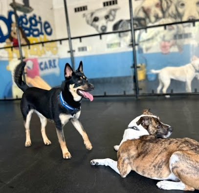 Dog day care in Northbrook Illinois Doggie Do Rite Daycare Inc  1