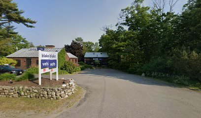 Dog day care in Northport Maine canine inn at blake vets 1