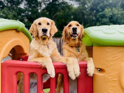 Dog day care in Norton Massachusetts Stone Dog Inn Spaw 1